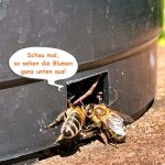 Bienen unter sich!